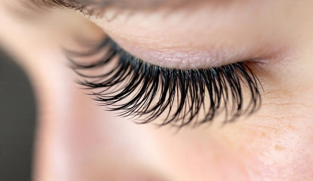 Classic eyelashes